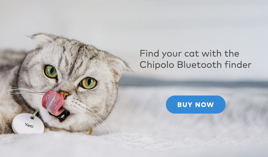 Chipolo Why Do Cats Hide?