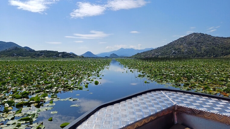 Bosnia Montenegro Aljosa 3