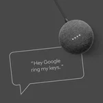 Voice assistant