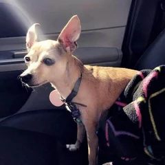 The Life Of Lanina Via Insta Featured Grande