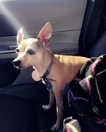 The Life Of Lanina Via Insta 2 Grande