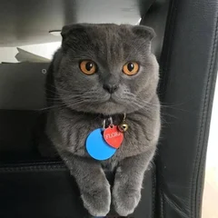 Florathecat Official Via Insta Featured Grande