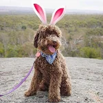 Chessiegirl  Via Insta 3 Grande