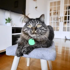 Julie Featured Grande