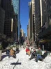 Stuck In Ny Grande