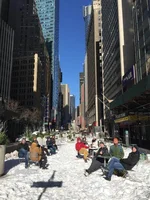 Stuck In Ny Grande