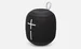 Wonderboom