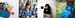 Bts3 1024X1024