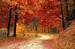 Warm colors photo by Valiphotos