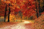 Warm colors photo by Valiphotos