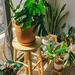 Pexels huy phan 4484184