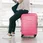 Airline luggage gets lost daria shevtsova featured