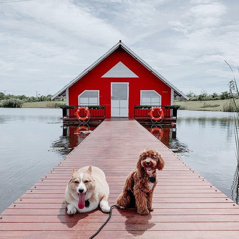 Boni sachi instagram 1