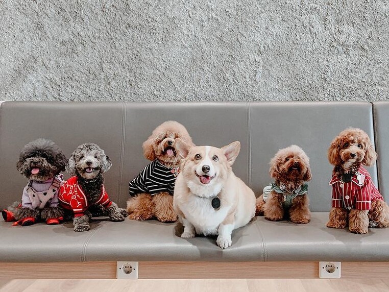 Boni sachi instagram 3