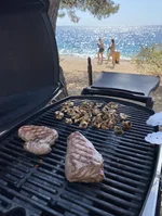 Nika Primosten Croatia