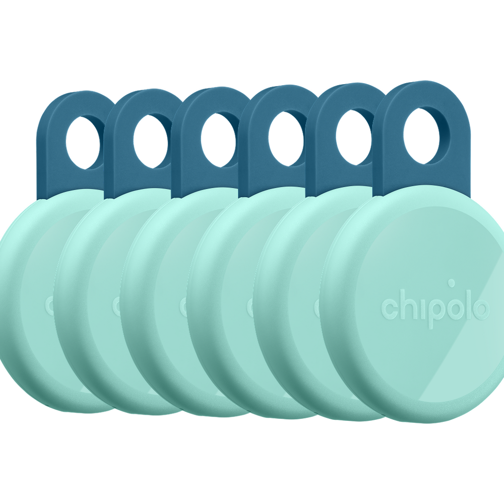LOOP LIMITED EDITION - 6 Pack - Limited Edition: Morning Mist