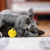 Chipolo ONE Bluetooth finder yellow attached to a cat
